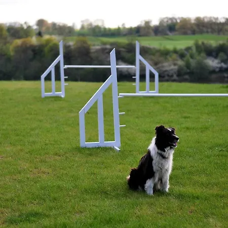 Modrzewiowe Wzgorze Фермерский дом Promno