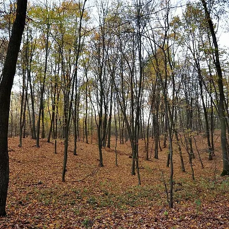 Farmház Modrzewiowe Wzgorze Promno