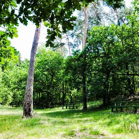 Modrzewiowe Wzgorze Farm stay *