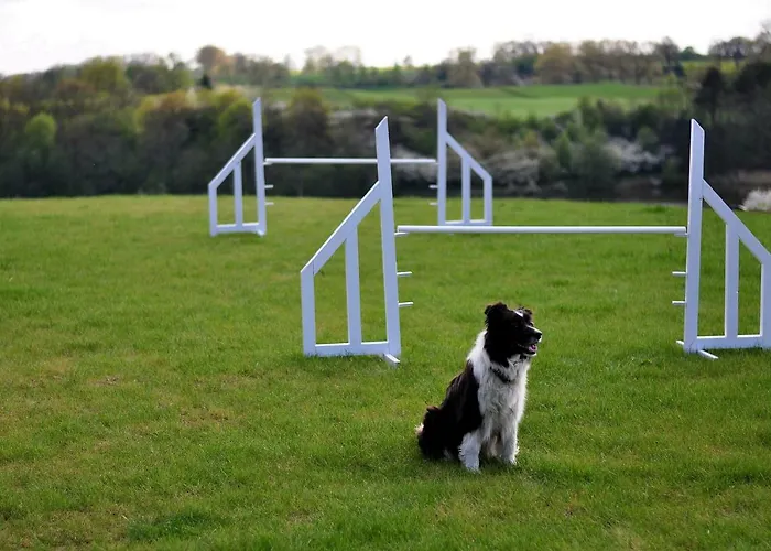 Modrzewiowe Wzgorze Farm stay Promno