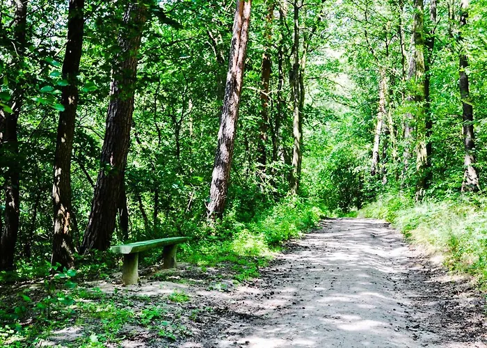 Modrzewiowe Wzgorze Promno