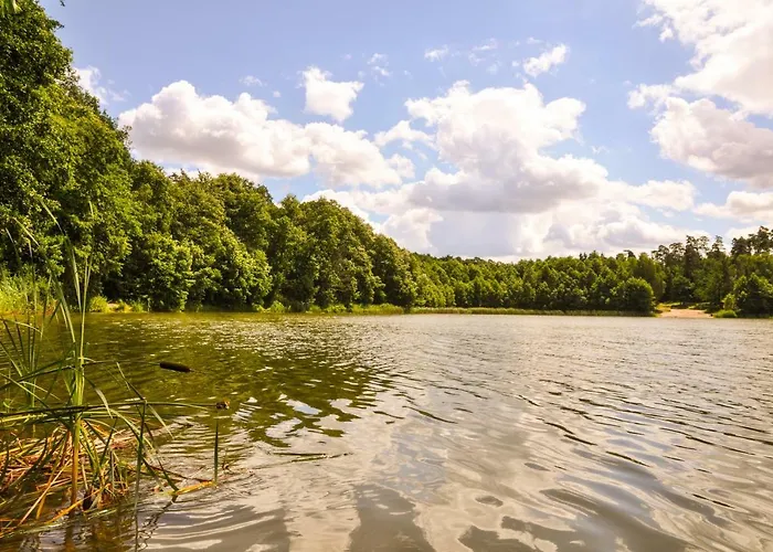 Modrzewiowe Wzgorze Farm stay