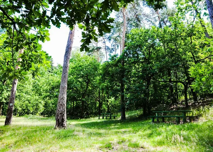 Modrzewiowe Wzgorze Farm stay *