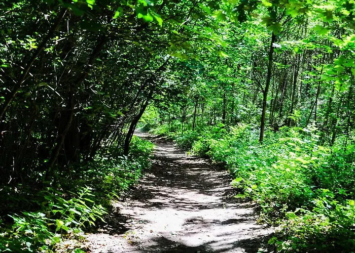 Farm stay Modrzewiowe Wzgorze Promno